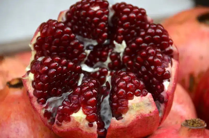 The Pomegranate in Ancient Greece: Symbolism, Mythology, and the Eleusinian Mysteries