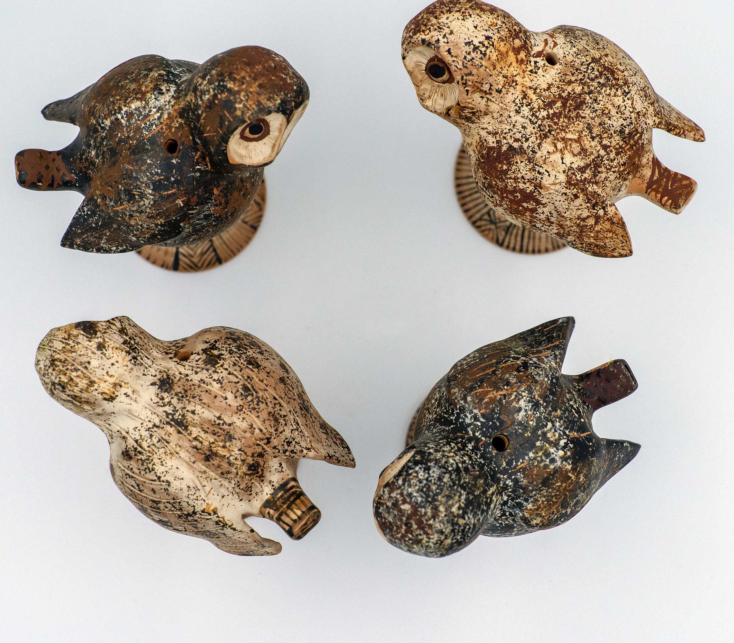 Athene Noctua - Little Owl whistle