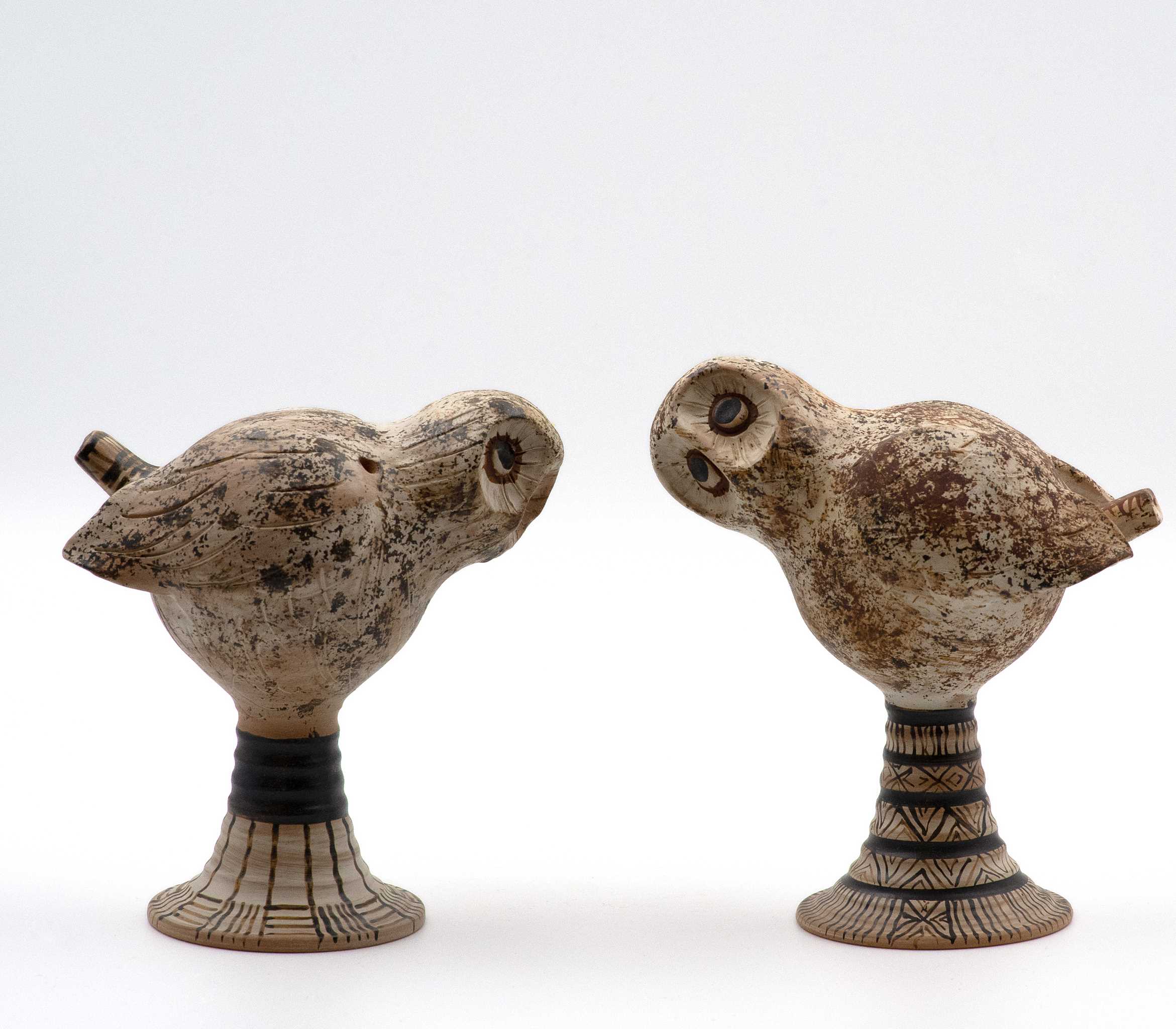 Athene Noctua - Little Owl whistle
