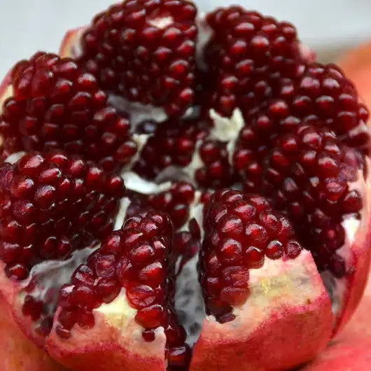 The Pomegranate in Ancient Greece: Symbolism, Mythology, and the Eleusinian Mysteries