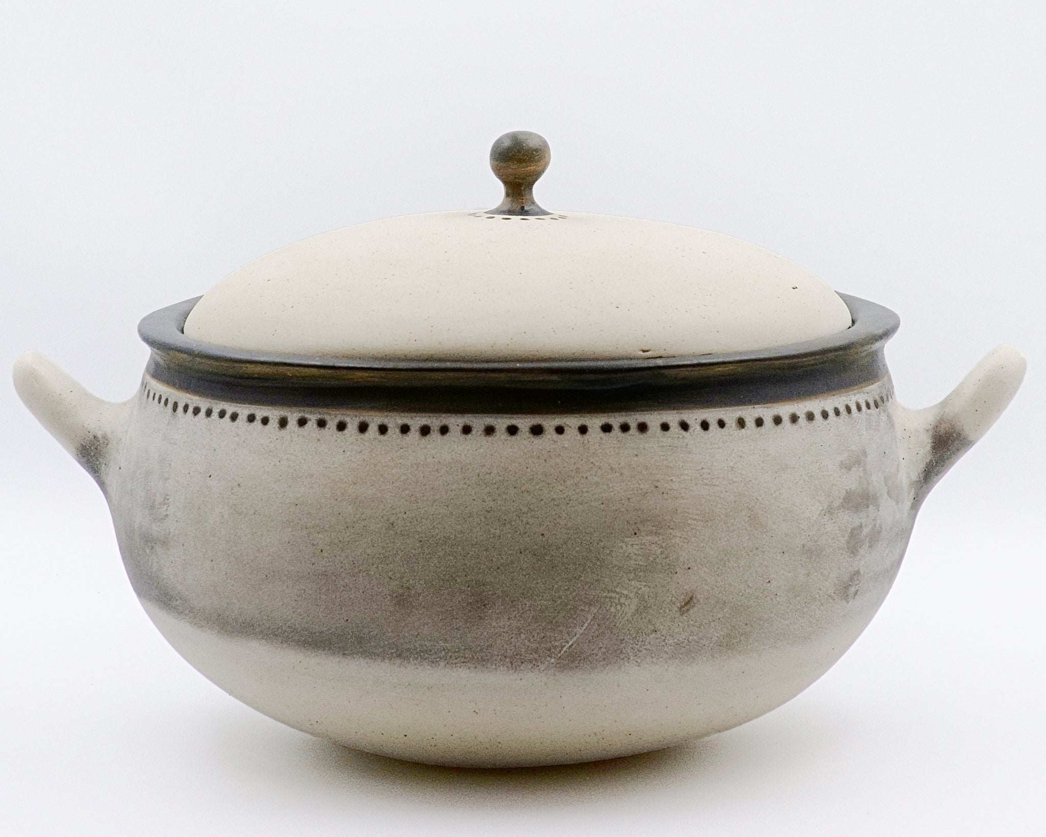 THETIS Cooking Pot with lid